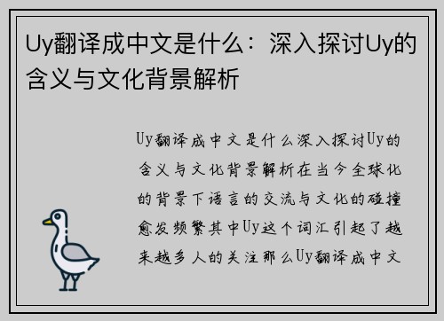 Uy翻译成中文是什么：深入探讨Uy的含义与文化背景解析